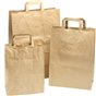 Paper carrying Bags Brown 220x100x280mm - Horecavoordeel.com