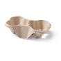 Carrying tray 2 holes Pulp Biodegradable