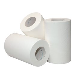 Poetsrol Mini Recycled Wit Met Koker 1laags 20cm x 120m Horecavoordeel.com