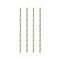 Drinking Straw Paper Straight 6mm x 20cm Stripe Dots green - Horecavoordeel.com