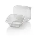 Saladebakken 1000cc Dome Pack Rechthoek PET Glashelder + Deksels Transparant 190 x 190mm Horecavoordeel.com