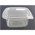 Salad Folding tray 375cc Cap 120x115x65mm - Horecavoordeel.com