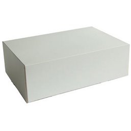 Pastry Boxes White Cardboard 26x20x8cm - Horecavoordeel.com