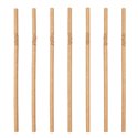 BuigPaper Straws Brown Ø 6mm x 20cm "100% Fair" - Horecavoordeel.com