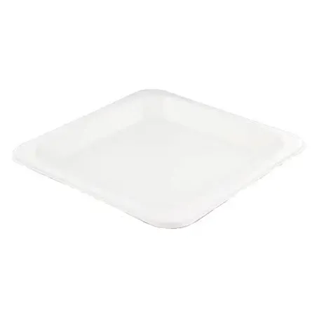 Suikerriet Borden 210 x 210mm Horecavoordeel.com