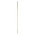 Decorational Skewers "Pure" 15cm Twisted - Horecavoordeel.com