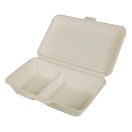 Menu Box Sugarcane "Pure" 2-compt. 255 x 255 x 80mm - Horecavoordeel.com