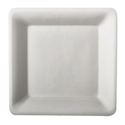 Plates made of Sugarcane "Pure" square 155 x 155mm White - Horecavoordeel.com