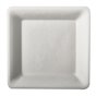 Plates made of Sugarcane "Pure" square 155 x 155mm White - Horecavoordeel.com