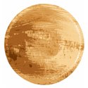 Trays made of Palm Leaf "Pure" Round 200ml Ø 130 x 30mm - Horecavoordeel.com