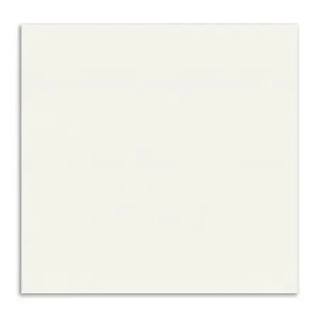 Napkins 2-laags "Pure" 1/4 vouw Wit 330 x 330mm Horecavoordeel.com