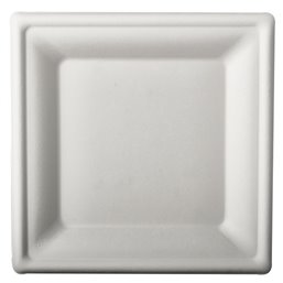 Plates made of Sugarcane "Pure" Rectangular 200 x 200mm White - Horecavoordeel.com