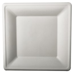 Plates made of Sugarcane "Pure" Rectangular 260 x 260mm White - Horecavoordeel.com