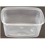 Salad trays - containers 108 Series Ribbed Rectangle PP Transparent 200cc 108/42 - Horecavoordeel.com