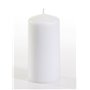 Pillar candles White Ø 50 x 100mm -Horecavoordeel.com-