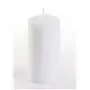 Pillar candles White Ø 50 x 100mm -Horecavoordeel.com-