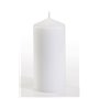 Pillar candles White Ø 60 x 130mm -Horecavoordeel.com-