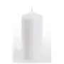 Pillar candles White Ø 60 x 130mm -Horecavoordeel.com-