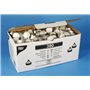 Tealights White Ø 38 x 14mm -Horecavoordeel.com-