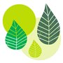 Napkins 3-Layer Green "Graphic Leaves" 1/4 fold 400 x 400mm -Horecavoordeel.com-