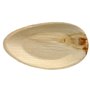 Palm Leaf Plates "Pure" Oval 320 x 180 x 30mm