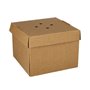 Hamburger box Cardboard Of Fresh Wood Fibers "Pure" 10 x 13 x 13cm Foldable Small