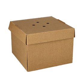 Hamburger box Cardboard Of Fresh Wood Fibers "Pure" 10 x 13 x 13cm Foldable Small