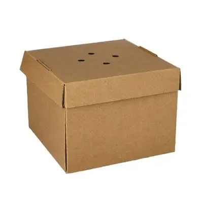 Hamburgerbox Karton Van Verse Houtvezels "Pure" 10 x 13 x 13cm Vouwbaar Klein