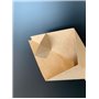 Chips Cone Bag Cardboard Brown with Sauce Compartment 16 x 27cm