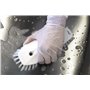 Large Ergonomic Work brush Polyester Fiber, Hard, With Wide Outstanding Fiber 250x120x60mm White