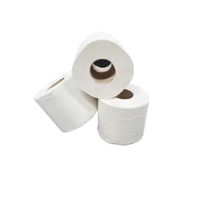 Toiletpapier Traditioneel Recycled Tissue 2 laags 400 vel Verpakking 10 x 4 rollen