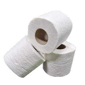 Toiletpapier Tradtitioneel 100% Cellulose 2 laags 200 vel Verpakking 12 x 4 rollen