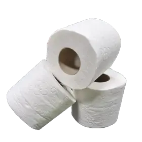 Toiletpapier Tradtitioneel 100% Cellulose 2 laags 200 vel Verpakking 12 x 4 rollen