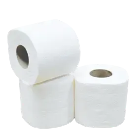Toiletpapier Traditioneel 100% Cellulose 2 laags 400 vel Verpakking 10 x 4 rollen