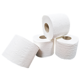 Toiletpapier Traditioneel 100% Cellulose 3 laags 250 vel Verpakking 9 x 8 rollen