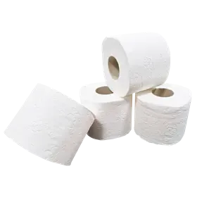 Toiletpapier Traditioneel 100% Cellulose 3 laags 250 vel Verpakking 9 x 8 rollen