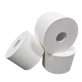 Toiletpapier Compact EU Ecolabel 100% Cellulose 2 laags 100 meter Verpakking 24 rollen 