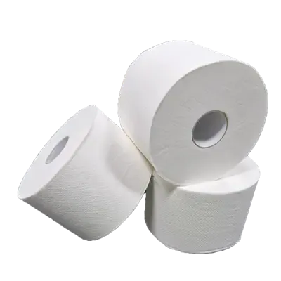 Toiletpapier Compact EU Ecolabel 100% Cellulose 2 laags 100 meter Verpakking 24 rollen 