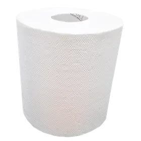 Handdoekrol Midi Centerfeed EU Ecolabel 100% Cellulose 2 laags 19 cm Verpakking 6 x 100 meter