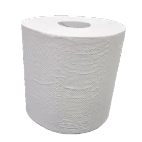 Handdoekrol Midi Centerfeed EU Ecolabel 100% Cellulose 1 laags 19 cm Verpakking 6 x 300 meter