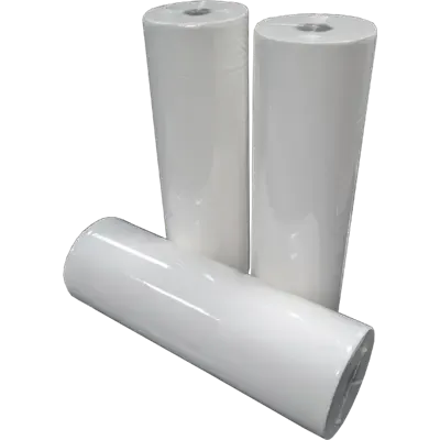 Onderzoeksbankrollen Verlijmd en Geperforeerd 100% Cellulose 2 laags 50 cm breed Verpakking 6 x 80 meter