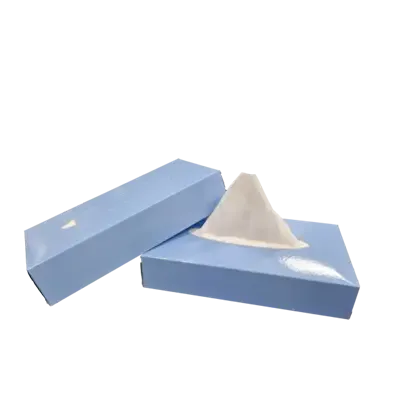 Facial Tissues 100% Cellulose 2 laags 21 x 21 cm Verpakking 40 x 100 tissues