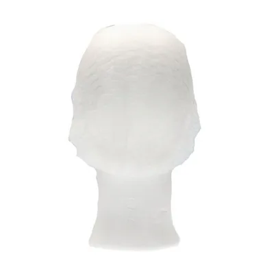 CMT Haarnet - Clip Cap PP Non Woven Wit Maat L 53cm