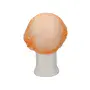 CMT Haarnet - Clip Cap PP Non Woven Oranje Maat M 50cm -Horecavoordeel.com-