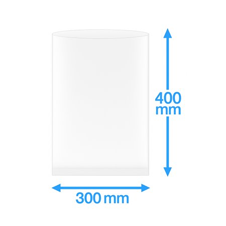 Vacuümzakken Buis PA/PE 300 x 400mm 90my 1000 stuks