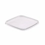 Verzegelbare Spuitgiet Bakken 3000cc PP Transparant 195 x 195 x 113mm Met Deksels