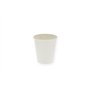 Coffee To go Paper Cup 10oz 250cc