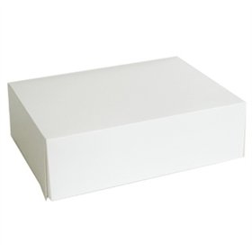 Gebaksdozen middel Karton 24 x 16 x 8cm Wit