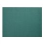 Placemats Papier 30cm x 40cm Groen - Horecavoordeel.com