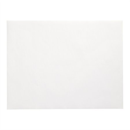 Placemats Papier 30cm x 40cm Wit - Horecavoordeel.com
